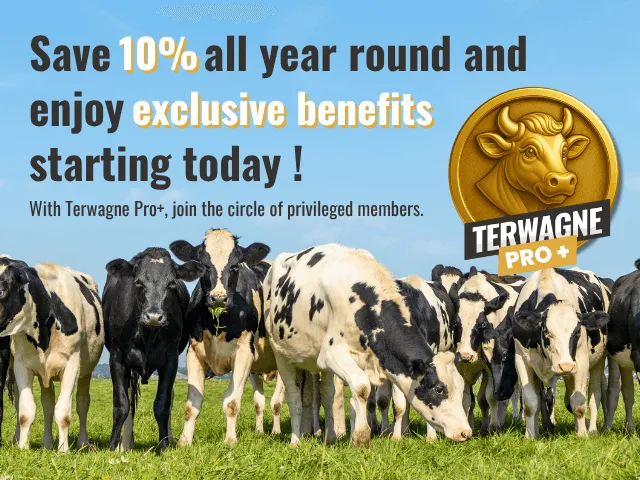 Économisez 10% toute l'année