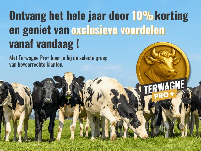 Économisez 10% toute l'année